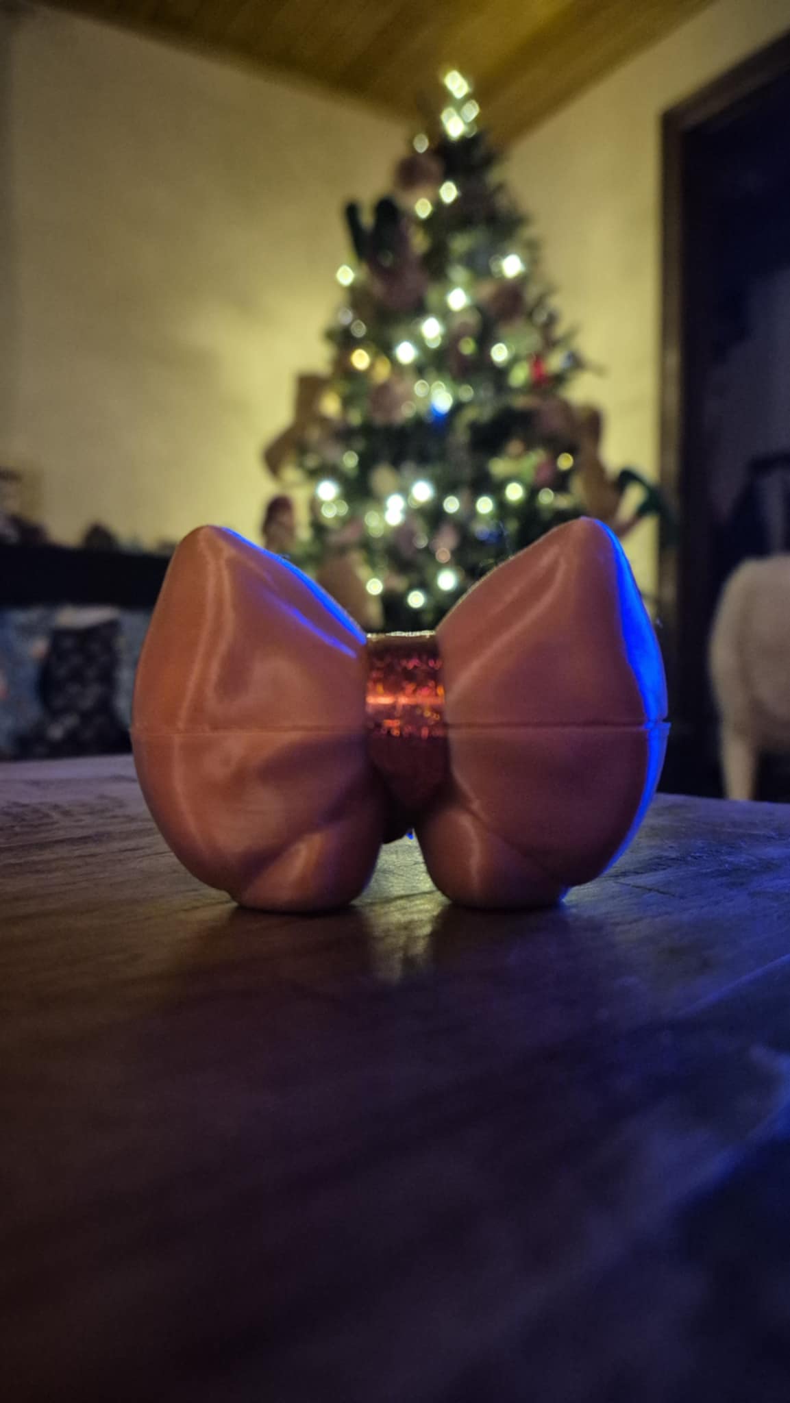 Cadeaustrik met Bewaarvakje