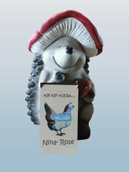 Geld Geschenk houder