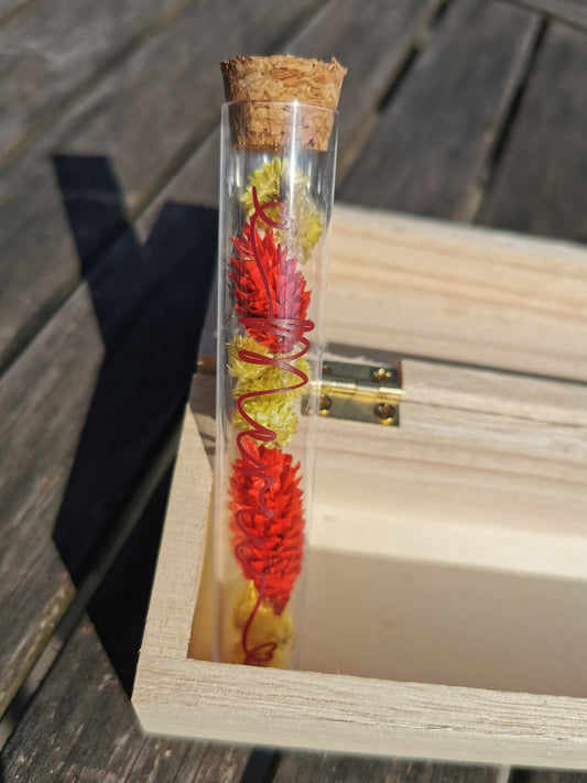 Kunststof Cadeaubuisjes – Met Droogbloemen of Parels