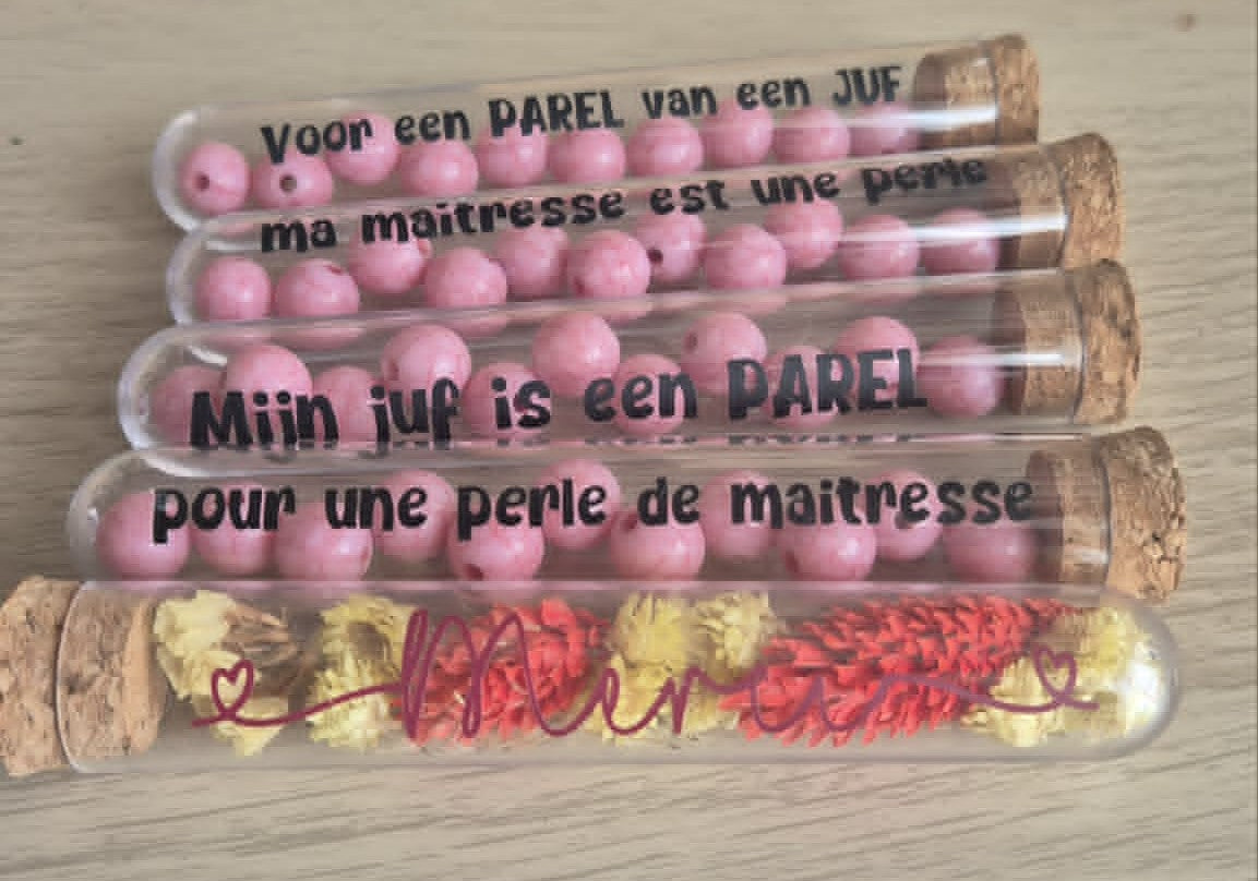 Kunststof Cadeaubuisjes – Met Droogbloemen of Parels